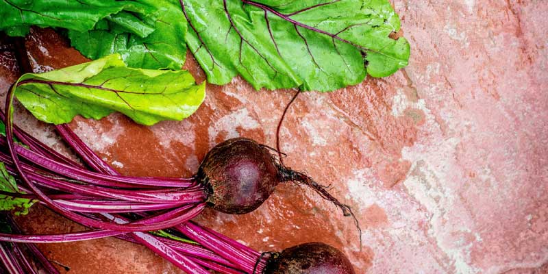 beetroot