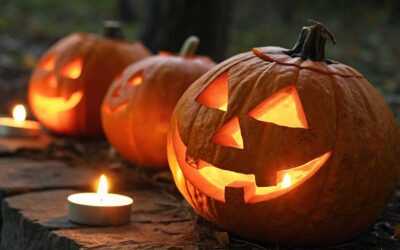 Seasonal Specials